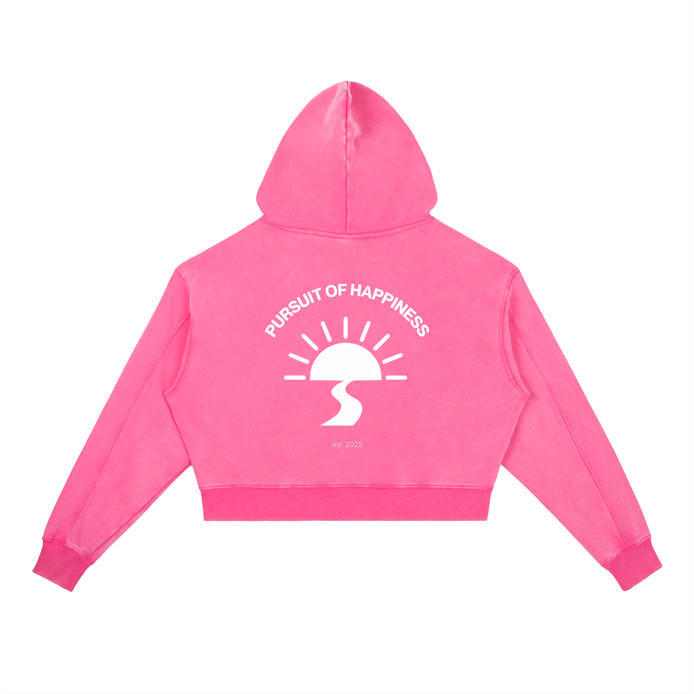 Vintage Washed Heavyweight Hoodie